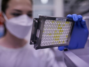 Testing for antibodies against SARS-CoV-2