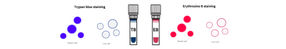 Staining Method Trypan Blue (0.4%) and Erythrosin B (0.05%)