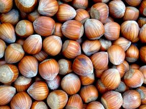 Food allergies can be reversed in mice by targeting the microbiome