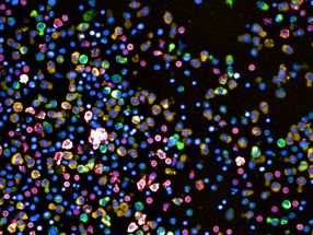How can we fight blood cancer more effectively?