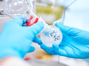 Scientists “revive” Stone Age molecules