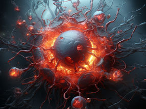 Fighting tumours down to the last cancer cell