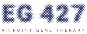 EG 427